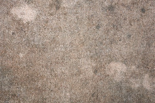 Myths On Office Carpet Tiles 