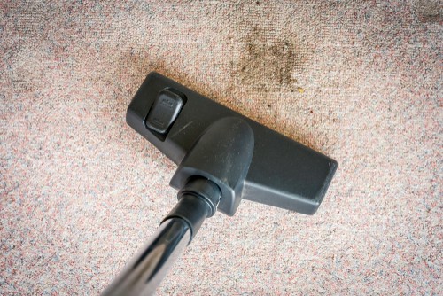 How To Remove Mold Smell from Carpet?
