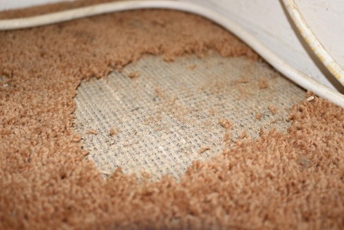 How to Store Rugs and Carpet The Correct Way?