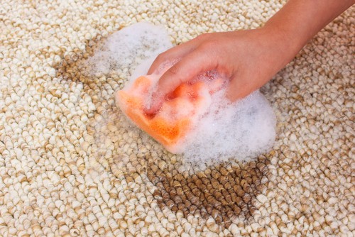 Reasons for Hiring Expert Carpet Cleaning Service