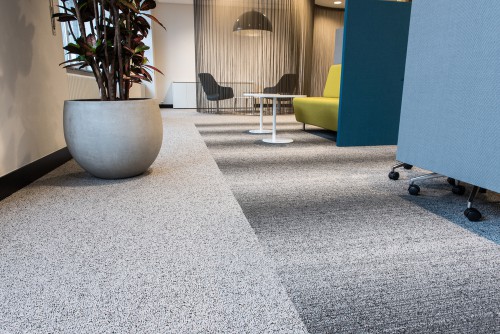 What Is The Best Carpet For Sound Reduction