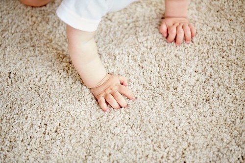 11 Things To Know Before Installing Carpet Flooring