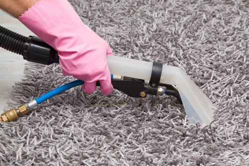 Cleaning Needs for Different Carpet Types
