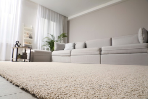Choosing the Best Carpet Style for Your Home Decor