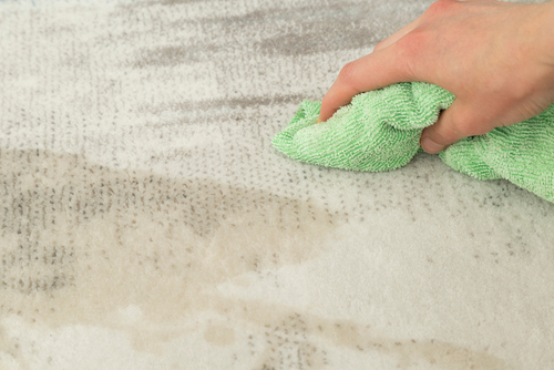 How to Choose Carpet for Easy Maintenance