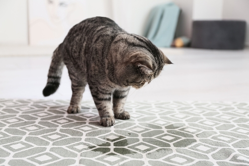 Addressing Specific Odors